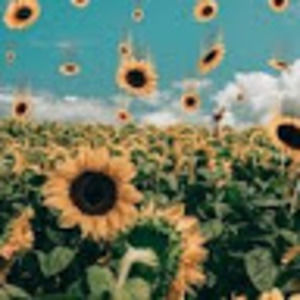 Meet your Posher, Aliyah